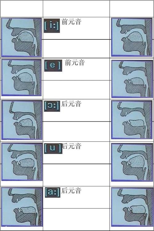 下一页 相关主题 你可能喜欢 汉语拼音字母 英语48个音标快速记忆法