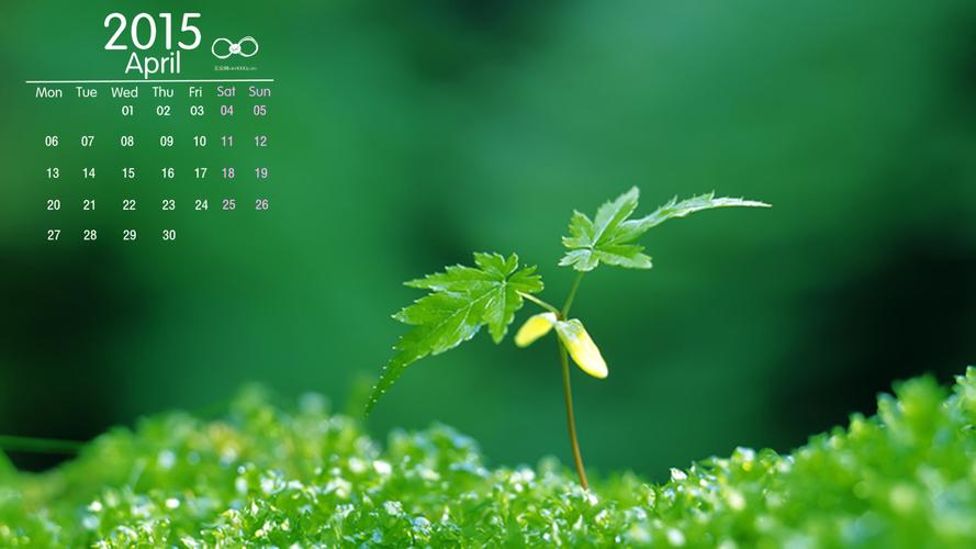 2015年4月日历高清植物绿色养眼壁纸电脑桌面图片下载(5)