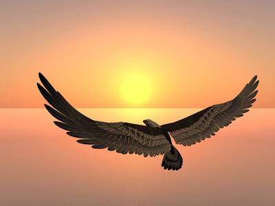 在巨蛇座的鹰状星云雄鹰飞上河背景的夕阳老鹰的日落3d 渲染猫头鹰