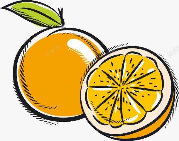 com 卡通 柚 柚子 柚子卡通 橙子 水果 蔬果 香甜