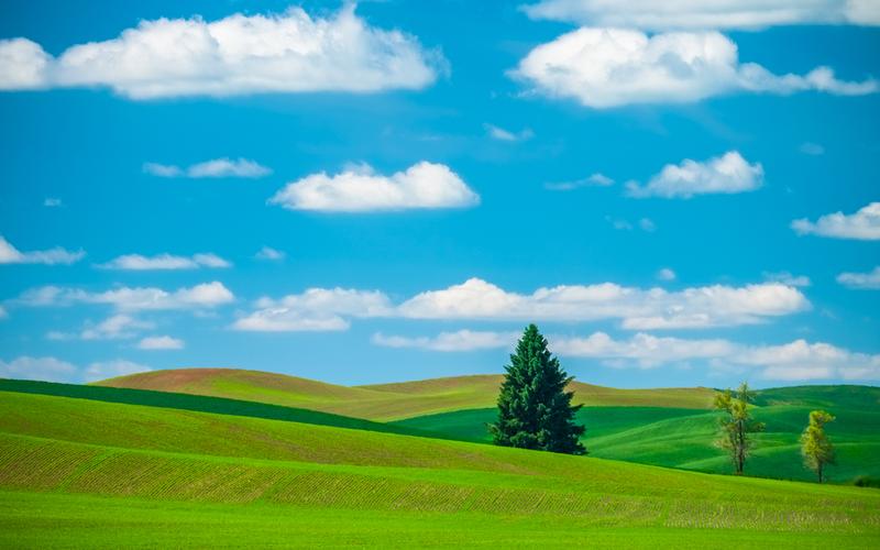 寻一角宁静,天空,蓝天,云朵,草原,小树,0312寻一角宁静壁纸图片