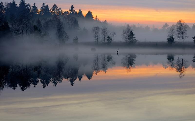 冬日早晨水雾笼罩的森林湖泊1366x768分辨率查看