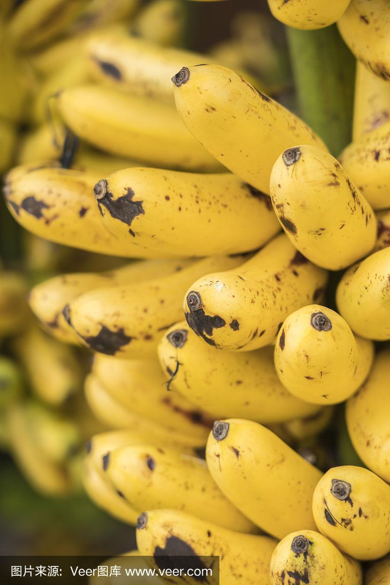 厄瓜多尔香蕉特写