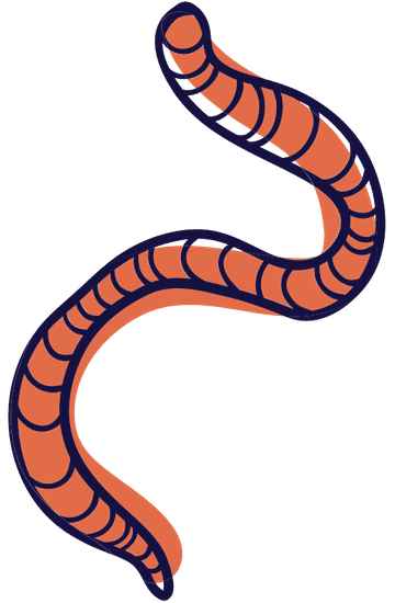 worm illustration - 素材 - canva可画