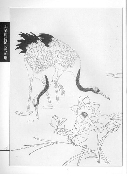 工笔画线描动物画谱之仙鹤篇