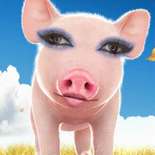 关于猪的gif表情包