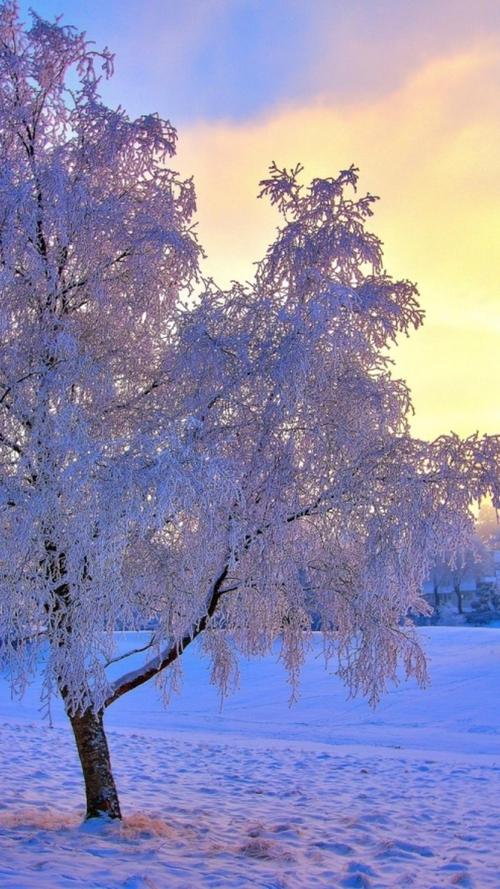 唯美夕阳雪景自然风光图片