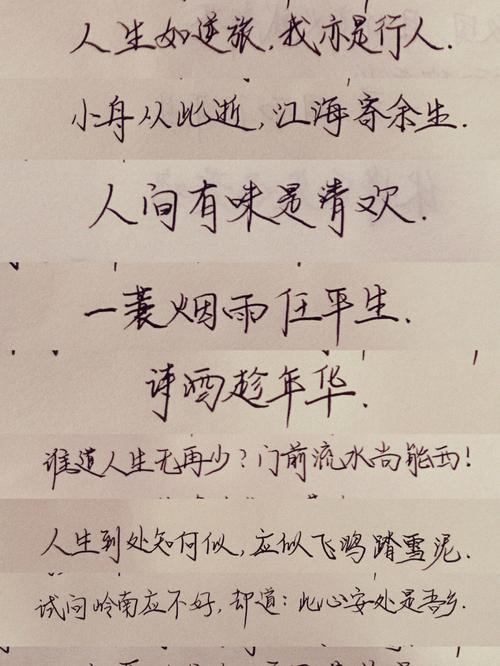 手写摘抄苏轼诗词