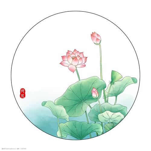 手绘荷花 唯美荷花 水彩植物 荷塘月色 中国风 古风荷花 荷花插画