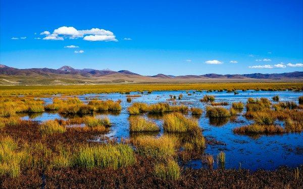 世界面积最大高寒沼泽湿地若尔盖湿地海拔3500米
