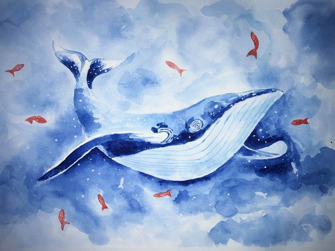 鲸鱼的水彩画鲸鱼的水彩画法图片简笔画