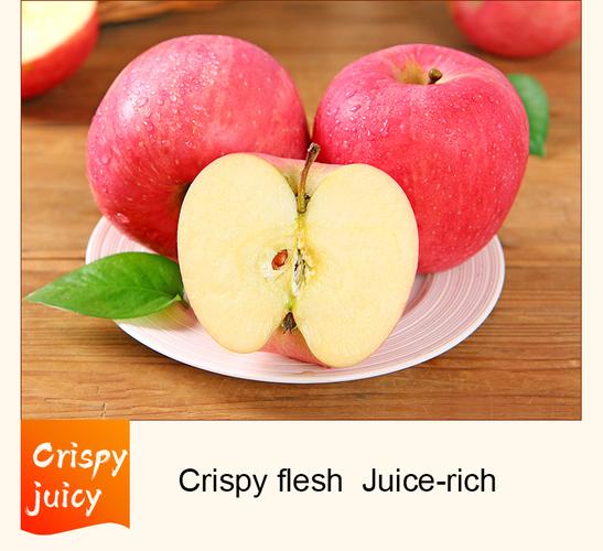 fresh delicious fruit best price fuji apple