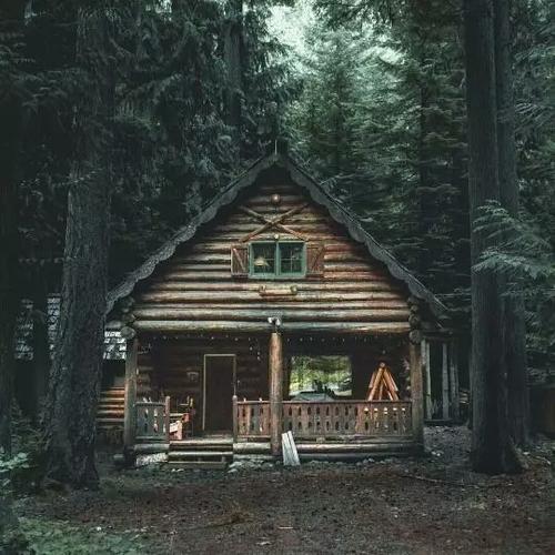 森林 木屋 房子