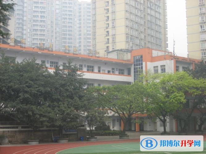 重庆市沙坪坝实验中学校2022年怎么样好不好