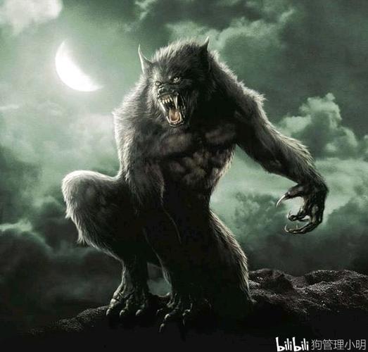 最为熟悉的就是《黑夜传说》系列,这个系列将吸血鬼和狼人的爱恨靖痧