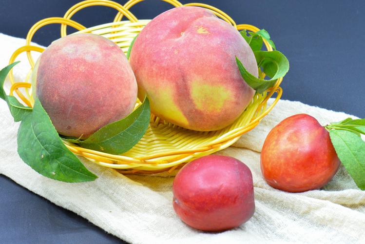 桃子 油桃 葡萄 西瓜 水果 植物 甜的 成熟的 果实 红色 黄色 甜的 酸