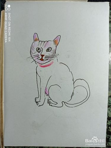 怎样画简笔画可爱的小花猫?