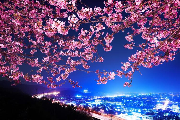 全景高清原图下载,日本,日本,樱花,夜晚的城市,全景,图片,壁纸 - 桌面