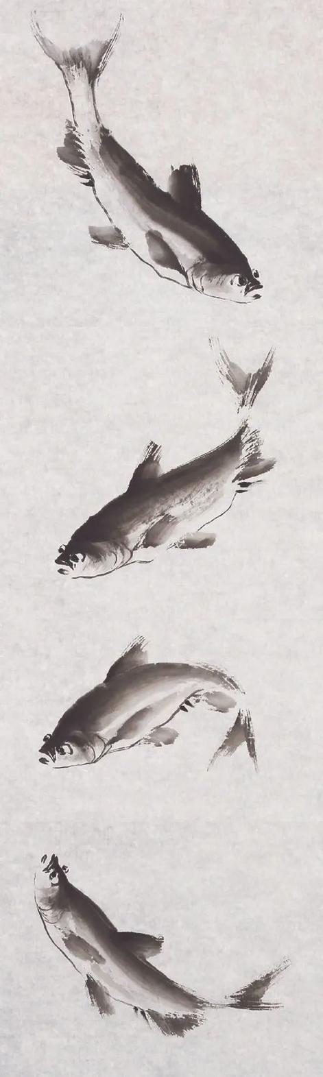 头条专栏画鲢鱼的方法:以含水的毛笔蘸墨调试后,卧锋落纸向右拖出,画