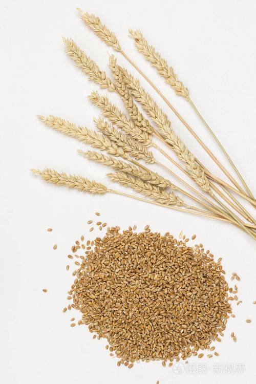 全麦和小麦小穗健康碳水化合物