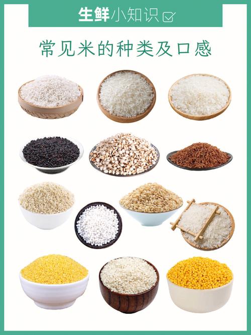 常见米的种类及口感