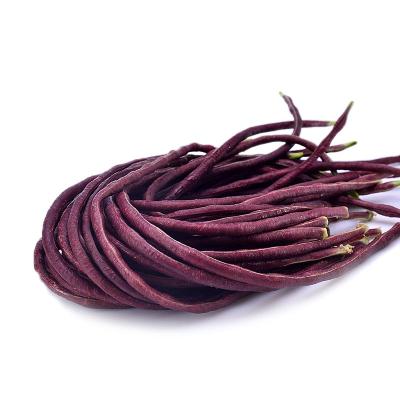 紫豇豆营养成分