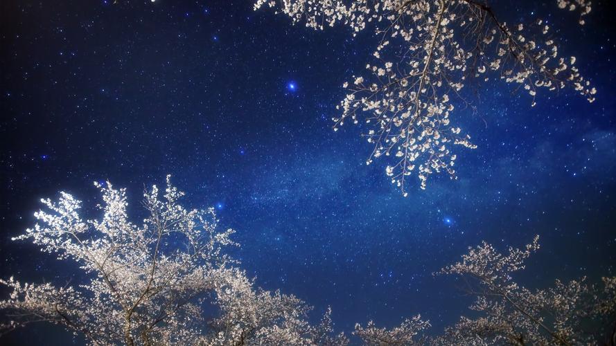 电脑壁纸 风景 梦幻唯美的璀璨星空