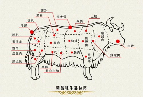 新鲜藏区高原牦牛肉 甘肃青海牛胴体 冷藏非腌制生牛胴体