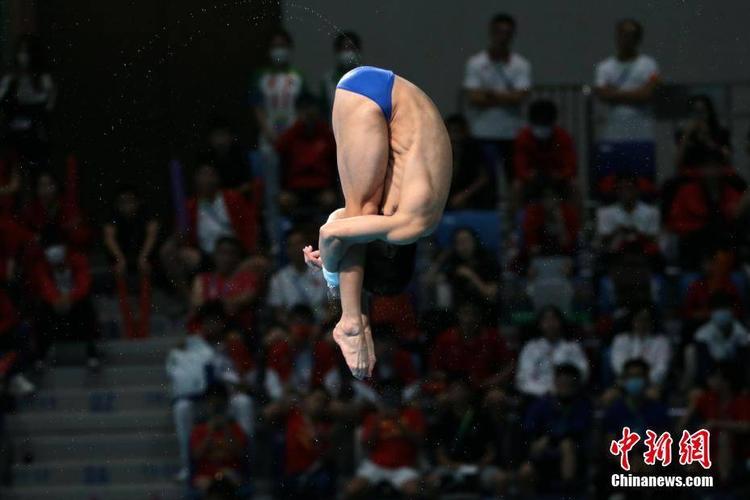 跳水男子10米台杨健夺冠练俊杰陈艾森摘银铜
