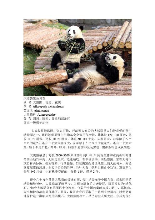有关大熊猫的资料 - 百度文库
