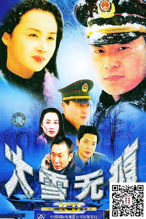[中国内地][2001][大雪无痕][任程伟/何政军][20集