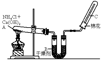 实验室中用图所示装置制取干燥的氨.