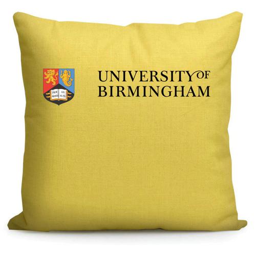 伯明翰大学纪念品英国名校校徽标志周边礼品留学生靠垫抱枕靠垫