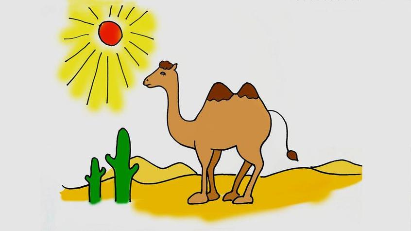 沙漠骆驼胡杨简笔画