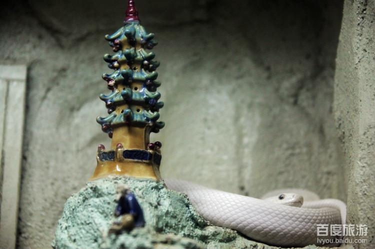 蛇博物馆中的白蛇和雷峰塔,很有趣啊.