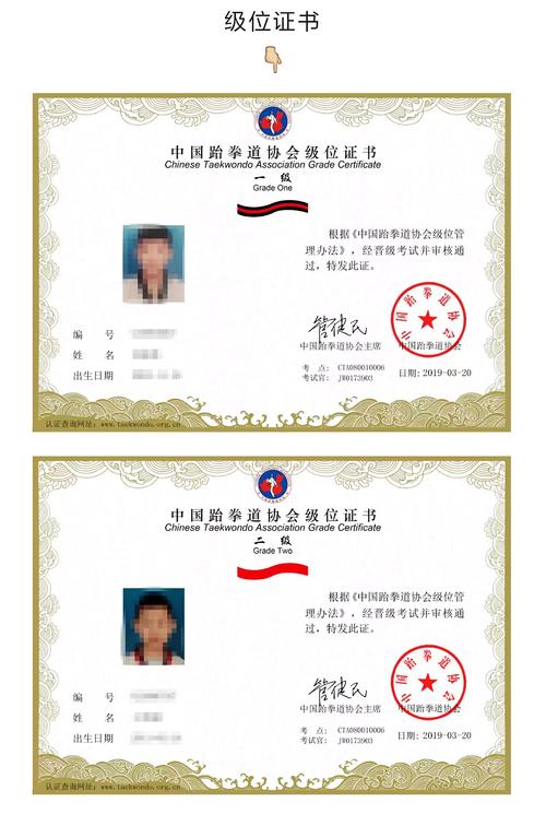 《中国跆拳道协会级位证书》样本