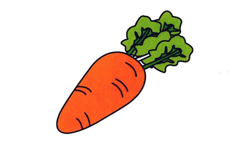 图片最后给胡萝卜涂上颜色简笔画胡萝卜卡通胡萝卜图标孤立的白色背景