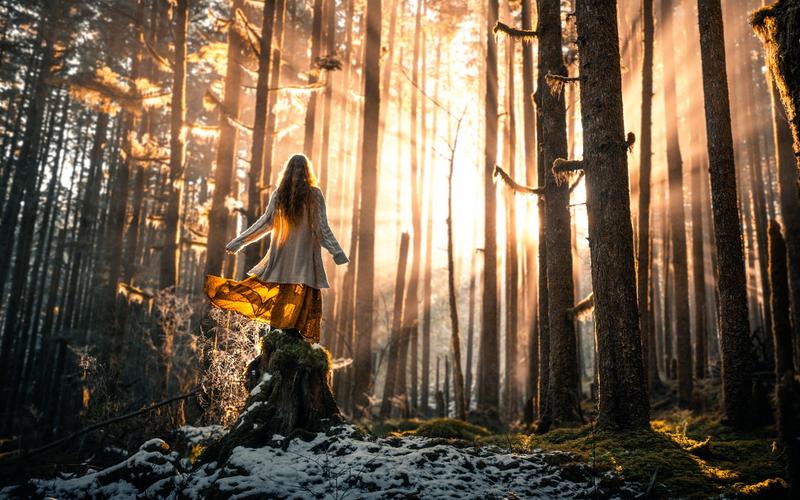 女孩在森林,树木,雪,太阳 壁纸 - 1920x1200