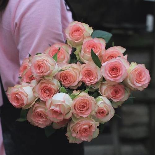 爱莎玫瑰10支份买2份减10元奶白色的外花瓣粉红色的花边简直是仙女