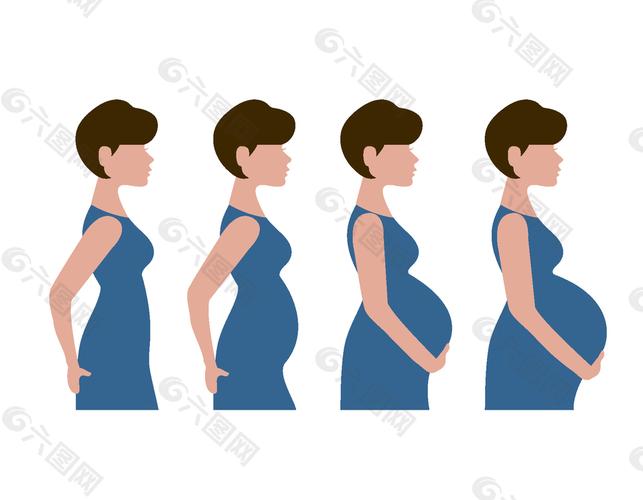 扁平化手绘怀孕女人肚子的变化