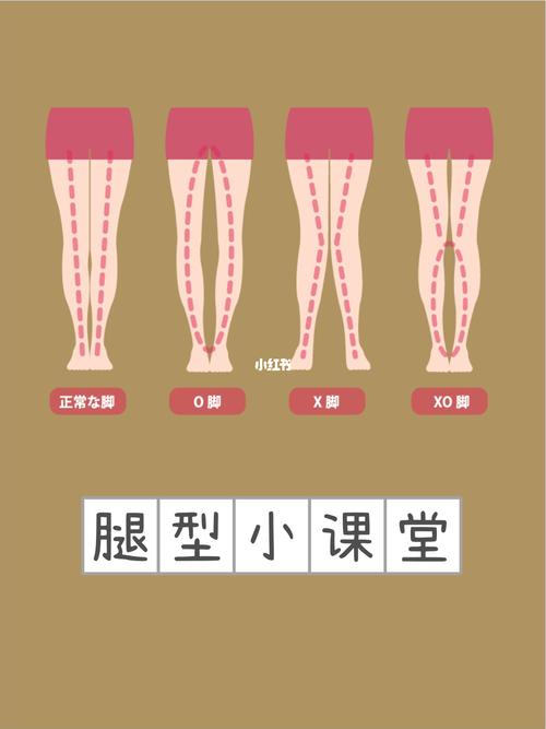 辨认腿型小课堂,如何判断自己的腿型_腿型_o型腿_仙女_外扩_学习_腿型