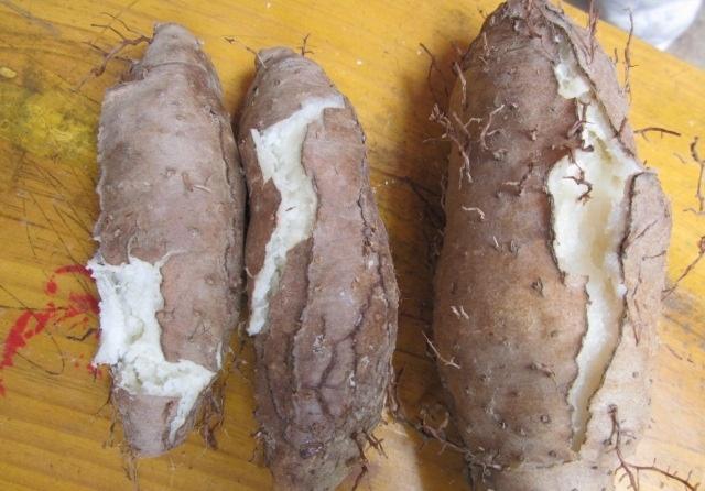 在农村常见的这几种薯类,您都吃过吗