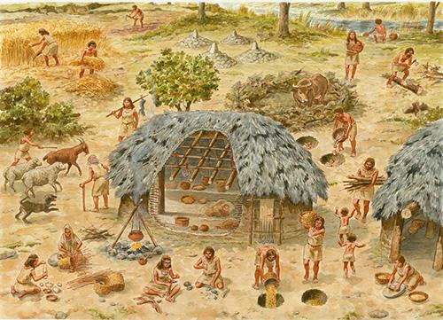研究发现社区护理在新石器时代已建立史前人类社会或更复杂