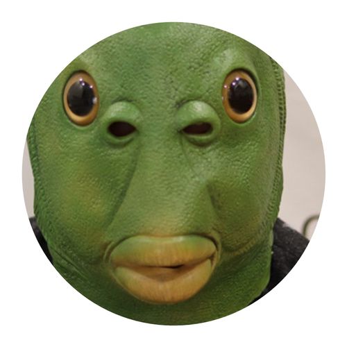 绿头怪鱼头套面具抖音同款搞怪动物面具