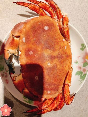 清蒸面包蟹的做法