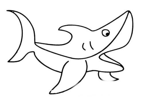 大鲨鱼简笔画图片大鲨鱼儿童绘画图集