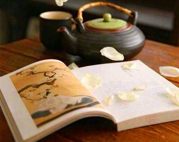 余生只想,做一个清淡的人,闲时读书泼墨养心,静时焚香品茶听雨,享受