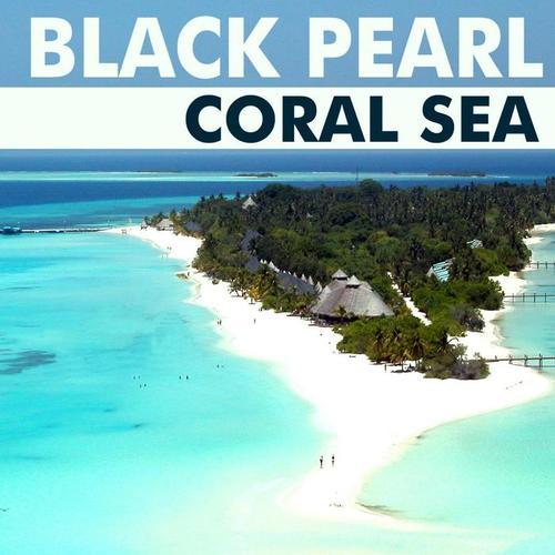 coral sea(original mix)