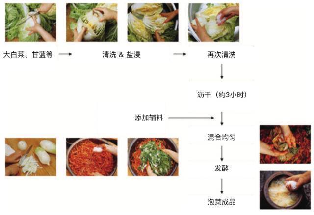 泡菜起源于中国的天然益生菌制品