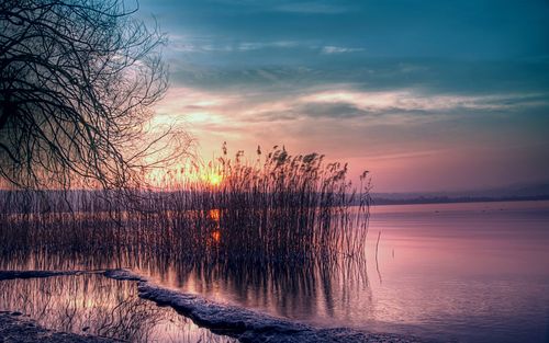 黄昏美丽的风景,宁静的湖水,芦苇,夕阳